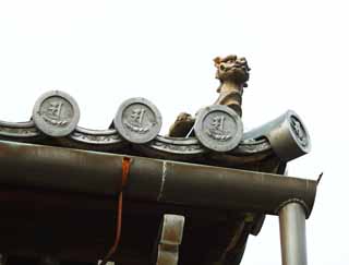 fotografia, materiale, libero il panorama, dipinga, fotografia di scorta,Tempio di Ninna-ji Kannondo, Stile architettonico giapponese, tegola di tetto, Chaitya, eredit di mondo