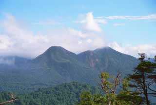 photo, la matire, libre, amnage, dcrivez, photo de la rserve,Montagnes bleues, montagne, ciel bleu, arbre, 