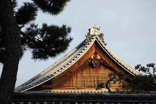 photo,material,free,landscape,picture,stock photo,Creative Commons,Myoshin-ji Temple Tokai hermitage, Egen Kanzan, forest bottom, The flower garden pope, temple belonging to the Zen sect