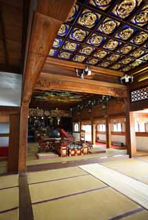 fotografia, materiale, libero il panorama, dipinga, fotografia di scorta,La sala principale di Shibamata Taishaku-dieci Tempio, stuoia di tatami, scultura, dragone, Apparecchiature di altare buddiste
