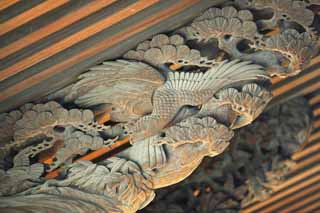 photo,material,free,landscape,picture,stock photo,Creative Commons,Shibamata Taishaku-ten Temple sculpture, bird of prey, sculpture, grain of wood, Buddhism