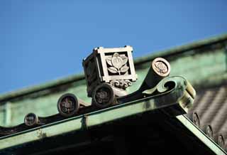 photo,material,free,landscape,picture,stock photo,Creative Commons,Shibamata Sakra Deranam Indra roof tile, Copper green rust, flower, temple, Buddhism