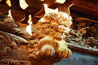illust, materiale, libero panorama, ritratto dipinto, matita di colore disegna a pastello, disegnando,Shibamata Taishaku-dieci scultura di Tempio, leone, scultura, grano di legno, Buddismo