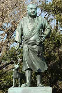 ,,, ,,,Saigo Ueno.,  .,  yukata.,   ,   