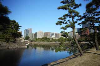 Foto, materiell, befreit, Landschaft, Bild, hat Foto auf Lager,Das Kaiserliche Palastglockenblumentor, Edo-jo Burg, Inner Sakurada-mon Tor, Wassergraben, 