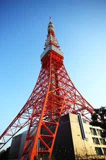 Foto, materiell, befreit, Landschaft, Bild, hat Foto auf Lager,Tokyo-Turm, Sammlung elektrischer Wellenturm, Rot und wei, Eine Antenne, Eine Sternwarte