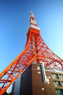 Foto, materieel, vrij, landschap, schilderstuk, bevoorraden foto,Tokio Toren, Collectie elektrisch golf toren, Rode en blanke, Een antenne, Een observatory