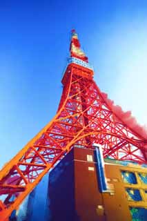 illust,tela,gratis,paisaje,fotografa,idea,pintura,Lpiz de color,dibujo,Tokyo Tower, Coleccin torre de ola elctrica, Rojo y blanco, Una antena, Un observatorio