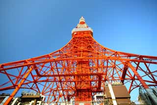 fotografia, materiale, libero il panorama, dipinga, fotografia di scorta,Torre di Tokio, raccolta torre di onda elettrica, Rosso e bianco, Un'antenna, Un osservatorio