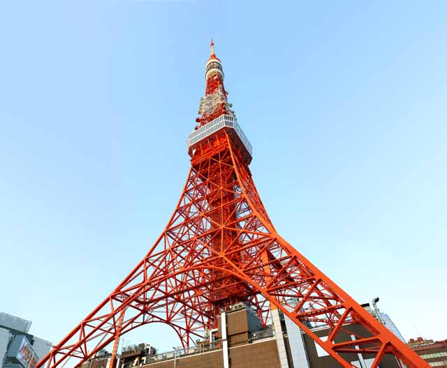 foto,tela,gratis,paisaje,fotografa,idea,Tokyo Tower, Coleccin torre de ola elctrica, Rojo y blanco, Una antena, Un observatorio