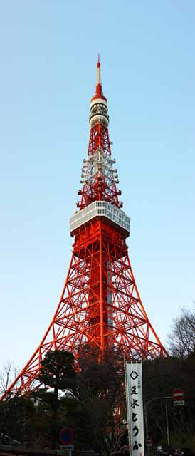 fotografia, material, livra, ajardine, imagine, proveja fotografia,Torre de Tquio, coleo torre de onda eltrica, Vermelho e branco, Uma antena, Um observatrio