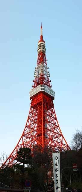 foto,tela,gratis,paisaje,fotografa,idea,Tokyo Tower, Coleccin torre de ola elctrica, Rojo y blanco, Una antena, Un observatorio