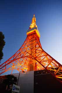 fotografia, materiale, libero il panorama, dipinga, fotografia di scorta,Torre di Tokio, raccolta torre di onda elettrica, Io me l'accendo, Un'antenna, Un osservatorio