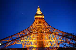 foto,tela,gratis,paisaje,fotografa,idea,Tokyo Tower, Coleccin torre de ola elctrica, Lo enciendo, Una antena, Un observatorio