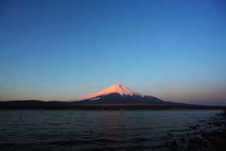 fotografia, material, livra, ajardine, imagine, proveja fotografia,Fuji vermelho, Fujiyama, As montanhas nevadas, superfcie de um lago, O brilho matutino