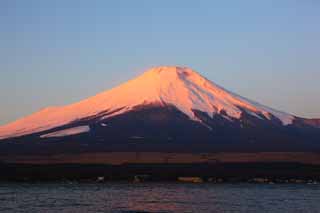 photo,material,free,landscape,picture,stock photo,Creative Commons,Red Fuji, Fujiyama, The snowy mountains, surface of a lake, The morning glow