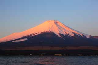 foto,tela,gratis,paisaje,fotografa,idea,Fuji rojo, Fujiyama, Las montaas cubiertas de nieve, Superficie de un lago, El brillo matutino