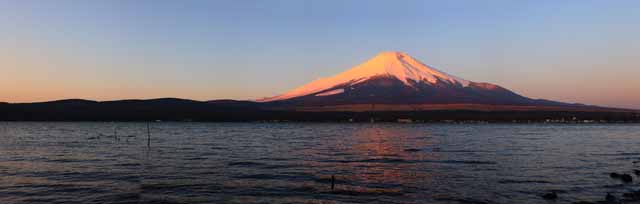 fotografia, materiale, libero il panorama, dipinga, fotografia di scorta,Fuji rosso, Fujiyama, Le montagne nevose, superficie di un lago, Il bagliore di mattina