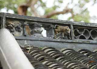 photo, la matire, libre, amnage, dcrivez, photo de la rserve,Yuyuan Garden sculpture de toit, Joss logent le jardin, vache, Un animal, Btiment chinois