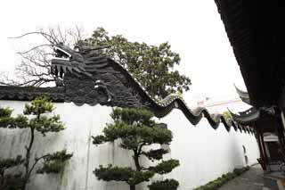 fotografia, materiale, libero il panorama, dipinga, fotografia di scorta,Yuyuan Garden muro di dragone, Joss si trova giardino, dragone, tegola di tetto, Edificio cinese