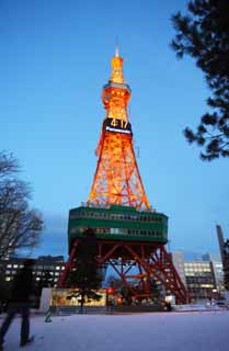 foto,tela,gratis,paisaje,fotografa,idea,Torre de la televisin de Sapporo, Una torre de ola elctrica, Illuminations, Luz, Soy hermoso