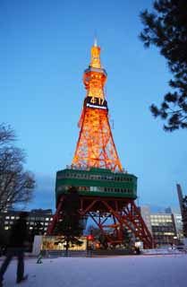 Foto, materieel, vrij, landschap, schilderstuk, bevoorraden foto,Sapporo tv toren, Een elektrisch golf toren, Illumineringen, Maak, Ik ben prachtig