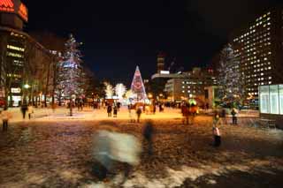 fotografia, materiale, libero il panorama, dipinga, fotografia di scorta,Un parco stradale e principale, Luminarie, , luce, Io sono bello