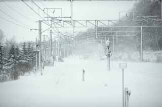 Foto, materieel, vrij, landschap, schilderstuk, bevoorraden foto,Ht dreigemen van de sneeuwstorm, Het is koud, Ik ben koud, Sneeuwstorm, Zwaar snowfall