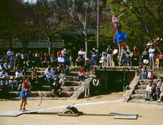 photo, la matire, libre, amnage, dcrivez, photo de la rserve,Saut de bascule, tradition, , , 