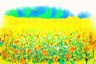 illustration,material,free,landscape,picture,painting,color pencil,crayon,drawing,The sunflower of the one side, sunflower, Full bloom, blue sky, natural scene or object which adds poetic charm to the season of the summer