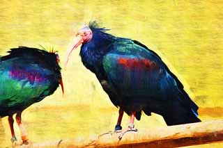 illust, materiell, befreit, Landschaft, Bild, Gemlde, Farbbleistift, Wachsmalstift, Zeichnung,,Ein grauhaariger Flaggenschmuck japanischer crested-Ibis, Liste von roten, Waldrapp, Die Krhe des Waldes, Kahlheit