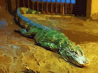 illust, material, livram, paisagem, quadro, pintura, lpis de cor, creiom, puxando,Um crocodilo cubano, crocodilo, , balana, lista de vermelho