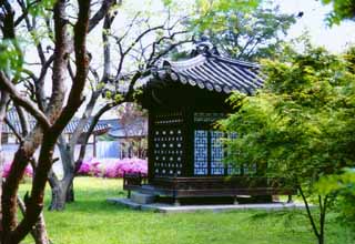 photo,material,free,landscape,picture,stock photo,Creative Commons,Hermitage in Changgyeonggung Palace, palace, tree, , 