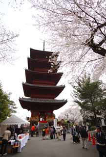 Foto, materieel, vrij, landschap, schilderstuk, bevoorraden foto,Ikegami voorkant poort tempel Five Storeyed Pagoda, Takashi Nichiren, Chaitya, Vijf Storeyed Pagoda, Publiek Hidetada