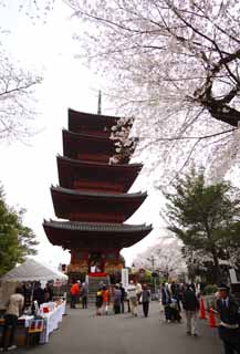 Foto, materiell, befreit, Landschaft, Bild, hat Foto auf Lager,Ikegami-Front Tortempel fnf Storeyed-Pagode, Takashi Nichiren, Chaitya, Fnf Storeyed-Pagode, ffentlicher Hidetada