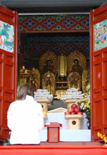 photo,material,free,landscape,picture,stock photo,Creative Commons,Ikegami front gate temple Five Storeyed Pagoda, Buddhist image, Chaitya, Glory to the Sutra of the Lotus of the Supreme Law, Faith