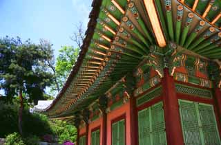 photo,material,free,landscape,picture,stock photo,Creative Commons,Green undersurface of eaves, palace, , , 