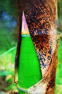 illust, materiale, libero panorama, ritratto dipinto, matita di colore disegna a pastello, disegnando,Qualche genere di bamb spesso-fornito di gambo, battuta di caccia di bamb, , fodero di bamb, genere di bamb spesso-fornito di gambo