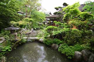 Foto, materiell, befreit, Landschaft, Bild, hat Foto auf Lager,Taima-Tempel Nakano Bo, Japanisch grtnert, Teich, Stein, berhmter Garten