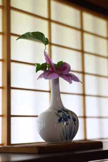 photo,material,free,landscape,picture,stock photo,Creative Commons,A shoji window, shoji window, shelf, clematis, Japanese architectural style architecture