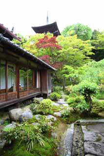 fotografia, materiale, libero il panorama, dipinga, fotografia di scorta,Tempio di Taima Nakano Bo, I giapponesi fanno del giardinaggio, Edificio giapponese, torre tripla, giardino famoso