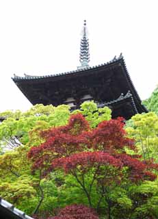 Foto, materiell, befreit, Landschaft, Bild, hat Foto auf Lager,Drei Falten des Taima-Tempels Trme, Frbte Bltter, Japanisches Gebude, dreifacher Turm, Buddhismus-Architektur