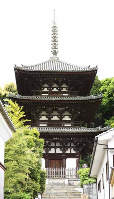 Foto, materieel, vrij, landschap, schilderstuk, bevoorraden foto,Drie plooien van Taima tempel rijst, Boeddhisme, Jap gebouw, Drievoudige toren, Boeddhisme architectuur