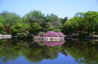 photo,material,free,landscape,picture,stock photo,Creative Commons,Cyundangchi, palace, pond, blue sky, 