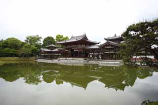 photo,material,free,landscape,picture,stock photo,Creative Commons,Byodo-in Temple Chinese phoenix temple, world heritage, Jodo faith, Pessimism due to the belief in the third and last stage of Buddhism, An Amitabha sedentary image