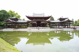 foto,tela,gratis,paisaje,fotografa,idea,Ave fnix templo de chino de Temple de Byodo-in, Herencia de mundo, Fe de Jodo, Pesimismo atribuible a la creencia en el tercero y ltimo escenario de Buddhism, Una Amitabha inactivo imagen