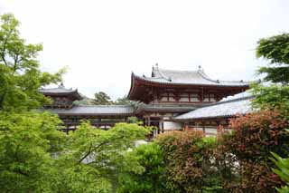 Foto, materieel, vrij, landschap, schilderstuk, bevoorraden foto,Byodo-in Temple Chinese feniks tempel, Wereld heritage, Jodo trouw, Zwartgalligheid wegens de overtuiging in het derde en laatste etappe van Het boeddhisme, Een Amitabha zittende afbeelding