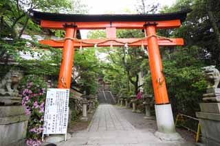 photo,material,free,landscape,picture,stock photo,Creative Commons,Uji Shrine, torii, Shinto, Shinto shrine, stone stairway