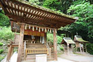 , , , , ,  ., Shinto shrine Kasuga Shrine  Uji,  , Shinto  festoon,  , Shinto
