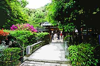 illust, materiell, befreit, Landschaft, Bild, Gemlde, Farbbleistift, Wachsmalstift, Zeichnung,,Es ist eine schintoistische Schreinsteinbrcke in Uji, Ein Ansatz zu einem Schrein, Eine Azalee, steinigen Sie Brcke, Schintoismus